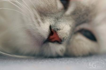 laisse moi dormir